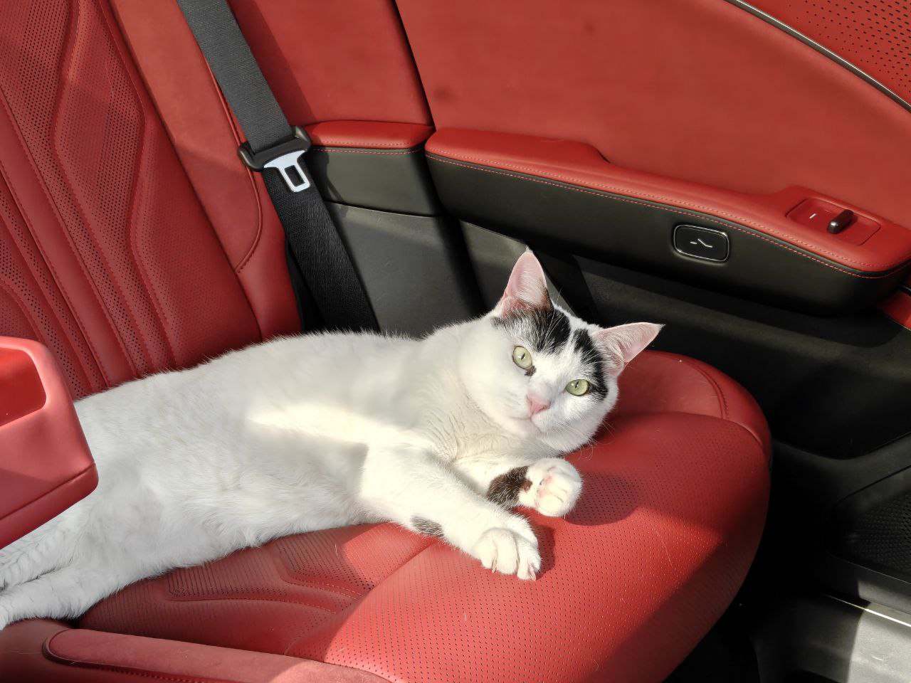 黄小咪在Zeekr 007 GT上